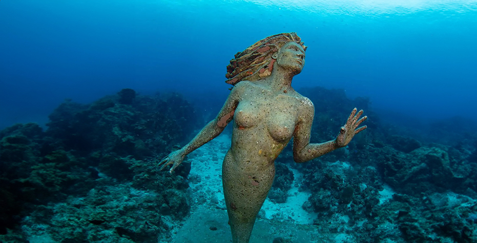 The mermaid of South Sound